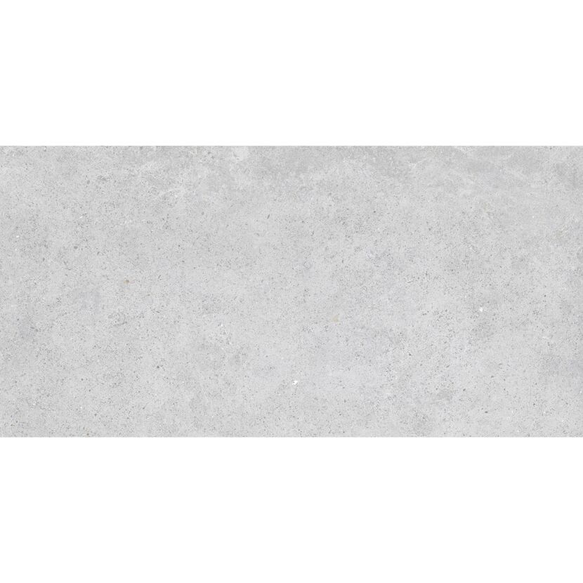 Bodenfliese 'Sandstone' Steinzeug hellgrau 30 x 60 cm