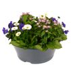 hauptbild
