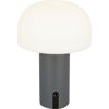 LED-Tischlampe 'Ali' dimmbar 0,8 W warmweiß, Farbwechsler Ø 15 x 22 cm
