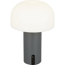 Akku-LED-Tischleuchte 'Ali' grau mit USB-Kabel Ø 15 x 22 cm