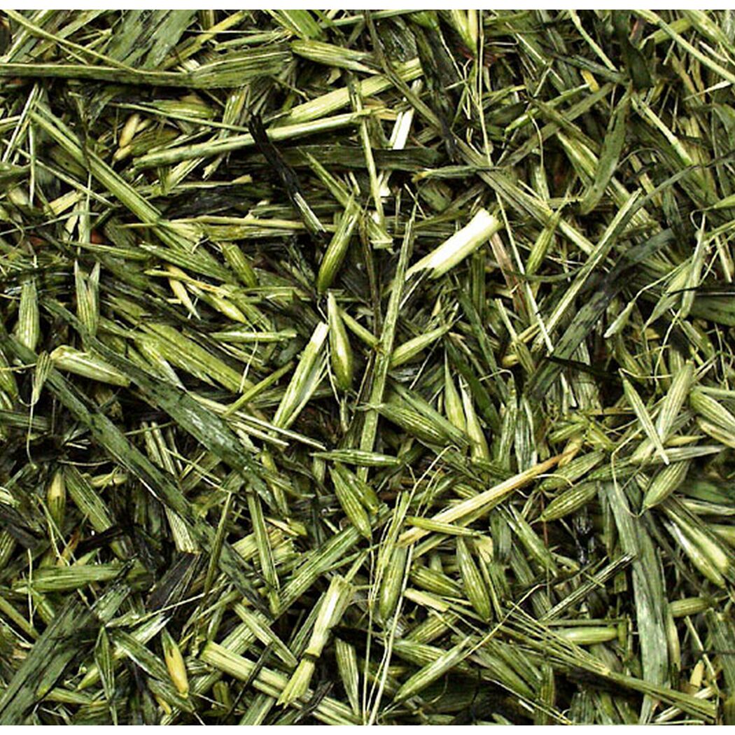 Snack für Nager und Zwergkaninchen 'Grüner Hafer' 100 g