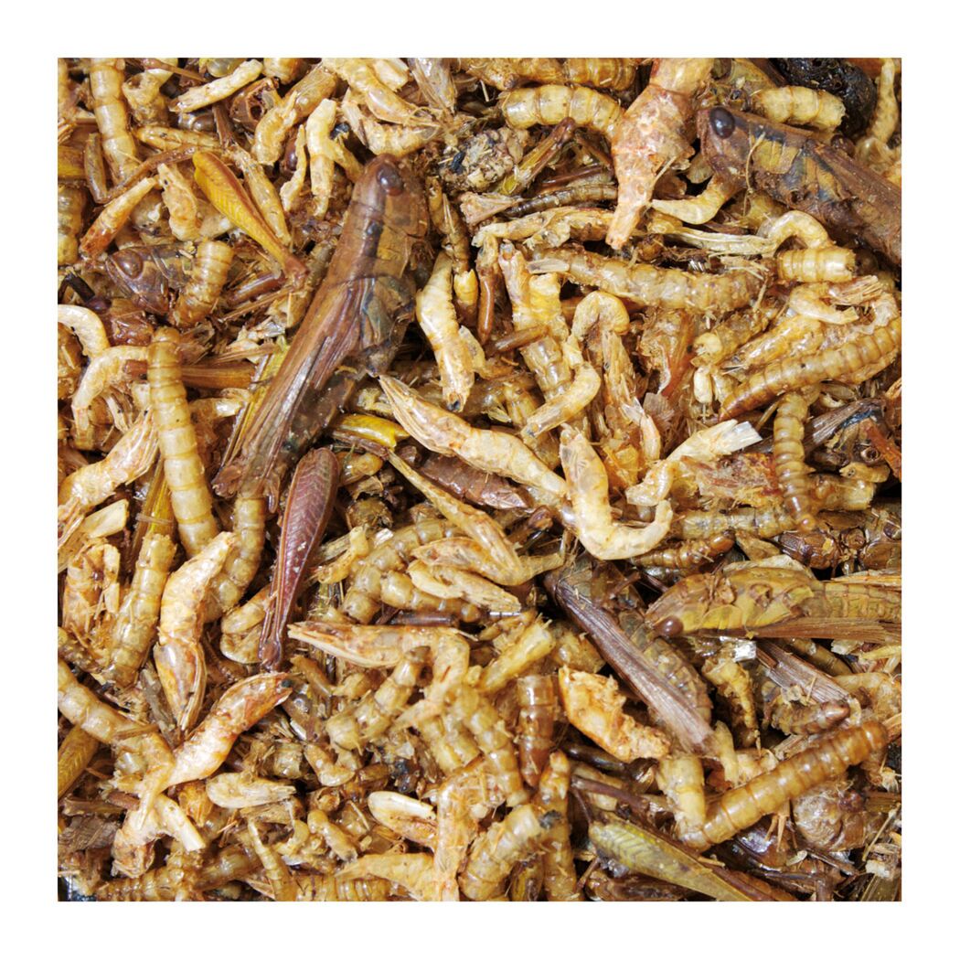 Snack für Nager und Zwergkaninchen 'Hafer-Ecken' 100 g