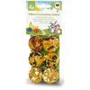Snack für Nager und Zwergkaninchen 'Vollkorn Fruchtauslese-Cookies' 120 g