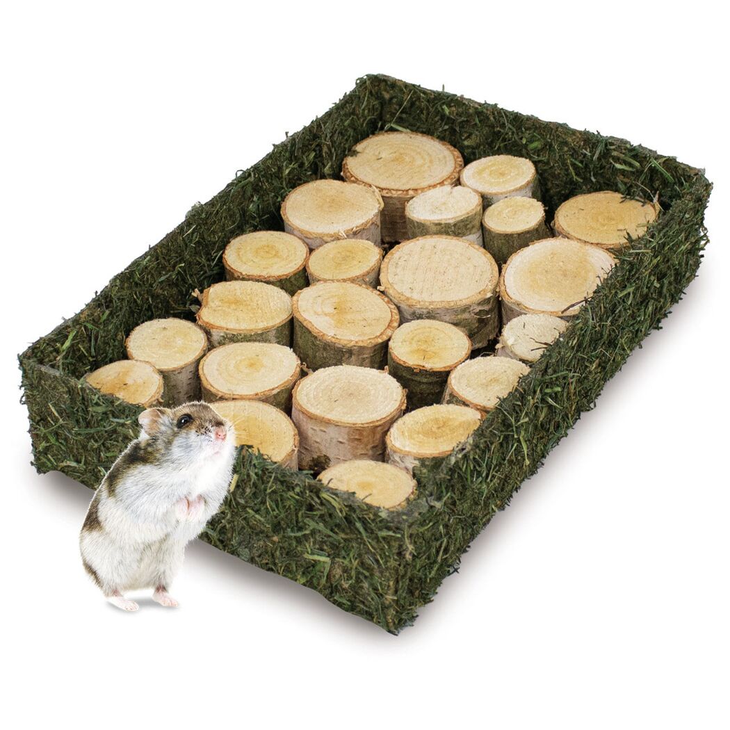 Snack für Nager und Zwergkaninchen 'BtI' Schnüffel-Wald' 240 g