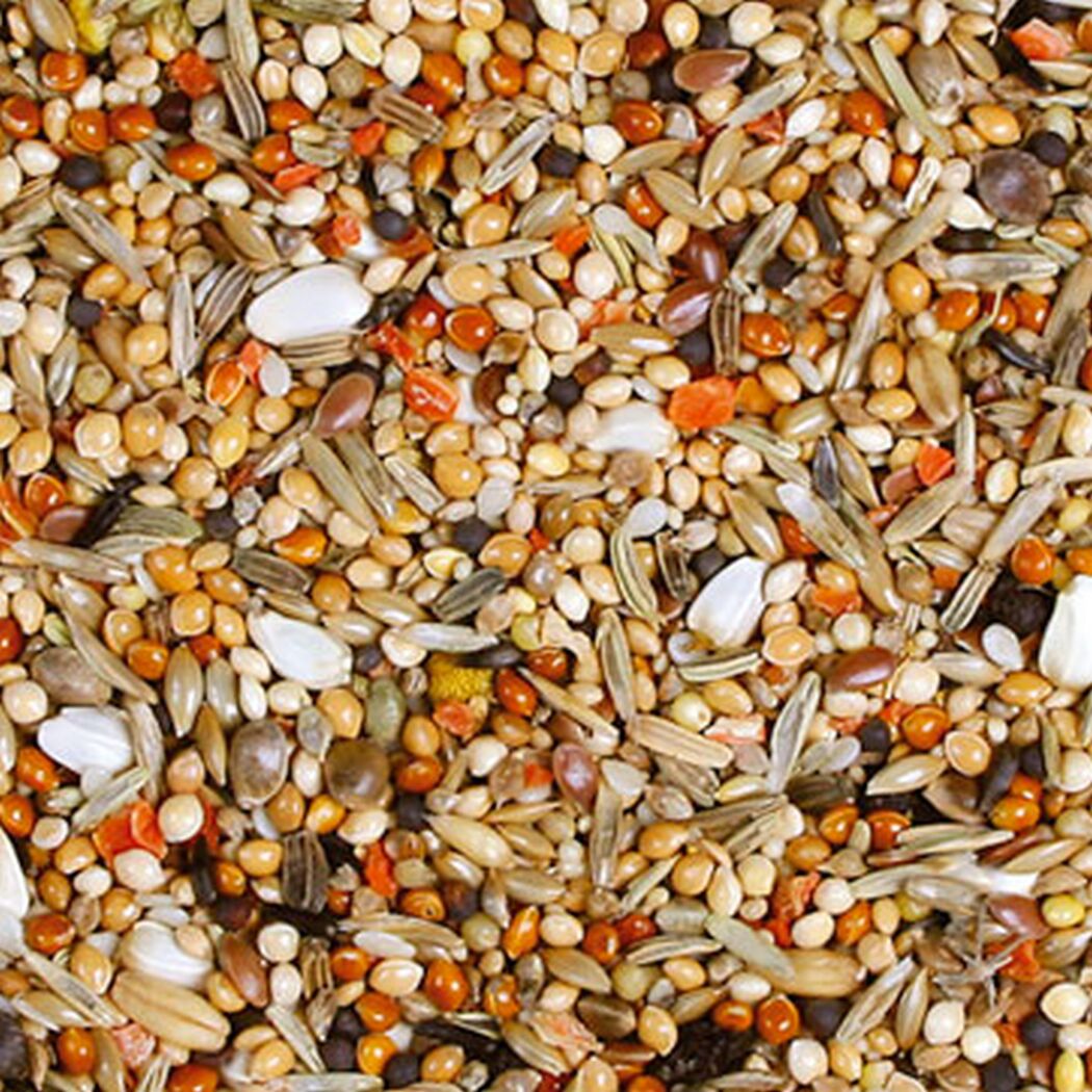 Vogelfutter 'Birds Individual Sperlings-Langflügelpapa' 1 kg