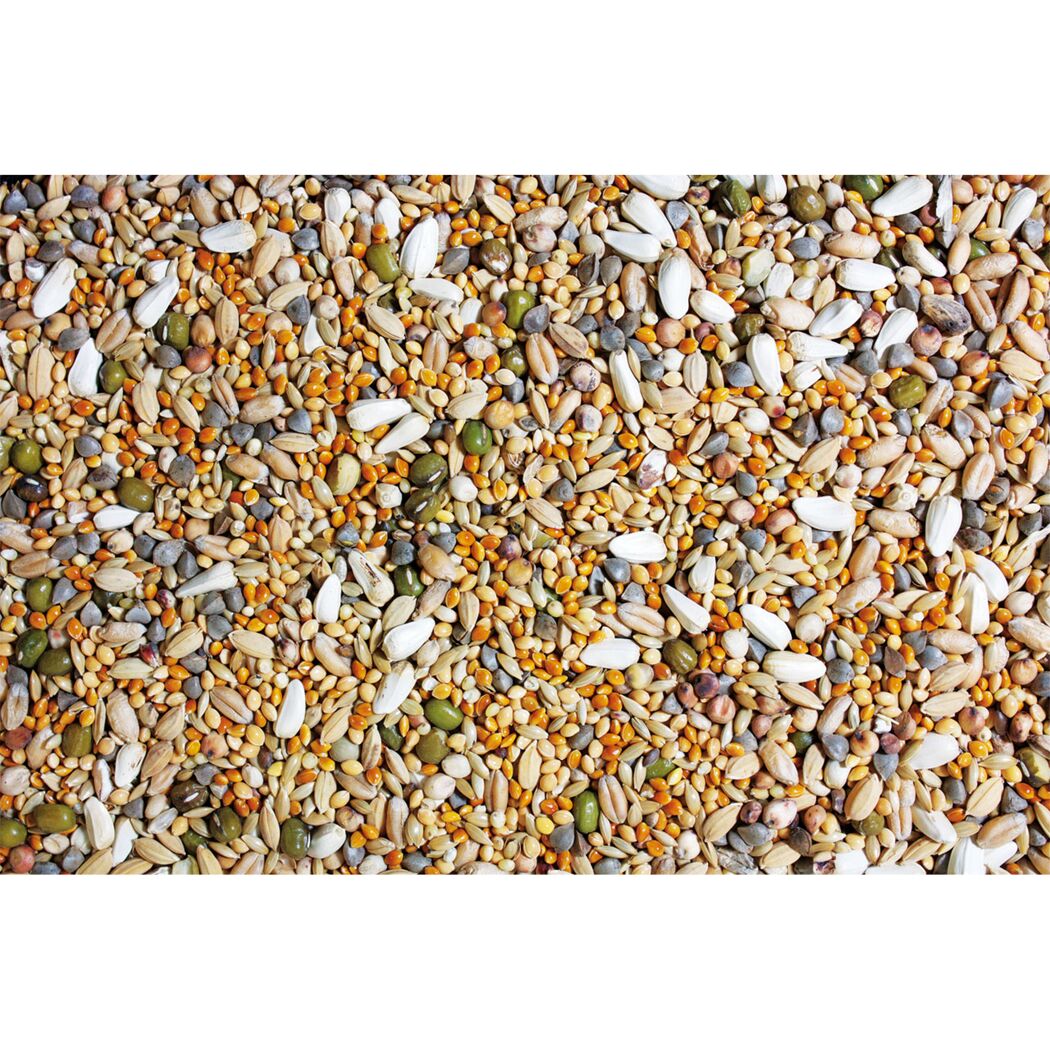 Vogelsnack 'Birds Keimfutter Großsittich' 1 kg