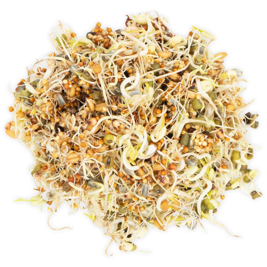 Vogelsnack 'Birds Keimfutter Großsittich' 1 kg