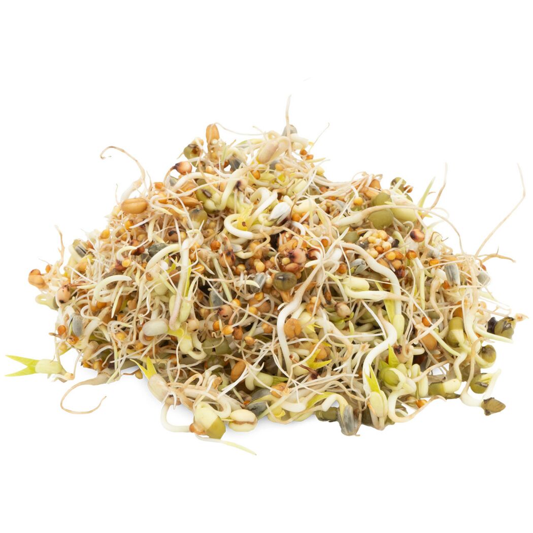 Vogelsnack 'Birds Keimfutter Großsittich' 1 kg