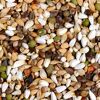Vogelsnack 'Birds Keimfutter Papagei' 1 kg