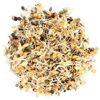 Vogelsnack 'Birds Keimfutter Papagei' 1 kg