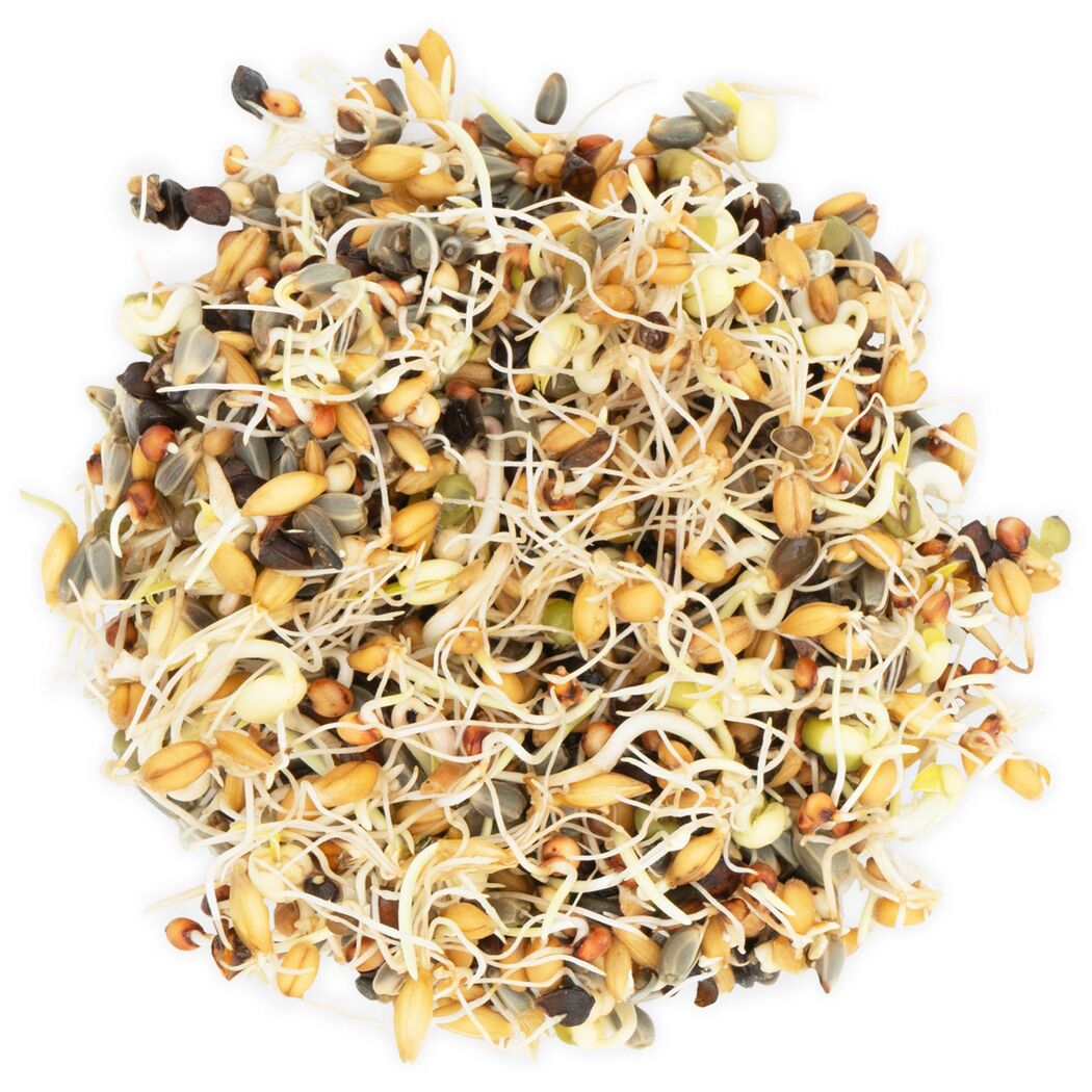 Vogelsnack 'Birds Keimfutter Papagei' 1 kg
