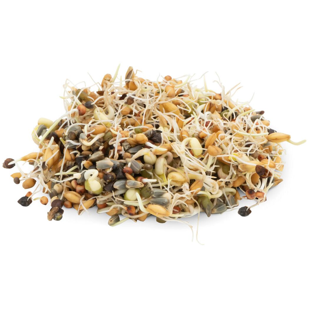 Vogelsnack 'Birds Keimfutter Papagei' 1 kg