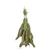 Vogelsnack 'Birds Grüne Senegalhirse' 50 g