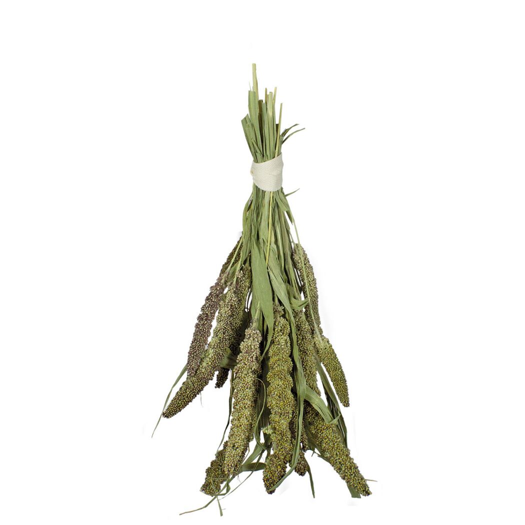 Vogelsnack 'Birds Grüne Senegalhirse' 50 g