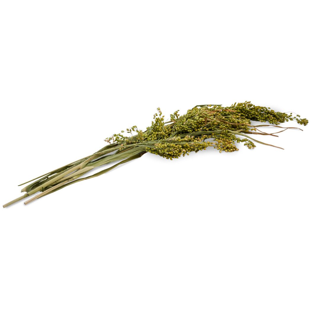 Vogelsnack 'Birds Rispenhirse' 400 g