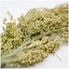 Vogelsnack 'Birds Rispenhirse' 400 g