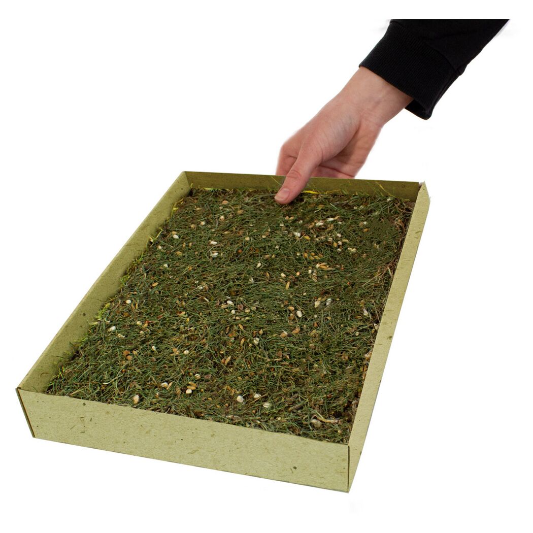 Vogelsnack 'Birds Pick-Wiese' 600 g