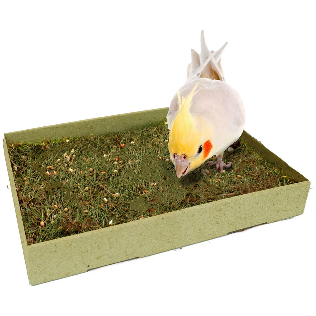 Vogelsnack 'Birds Pick-Wiese' 600 g