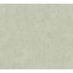 Vliestapete 'Hot Spots Beton' grün 10,05 x 0,53 m