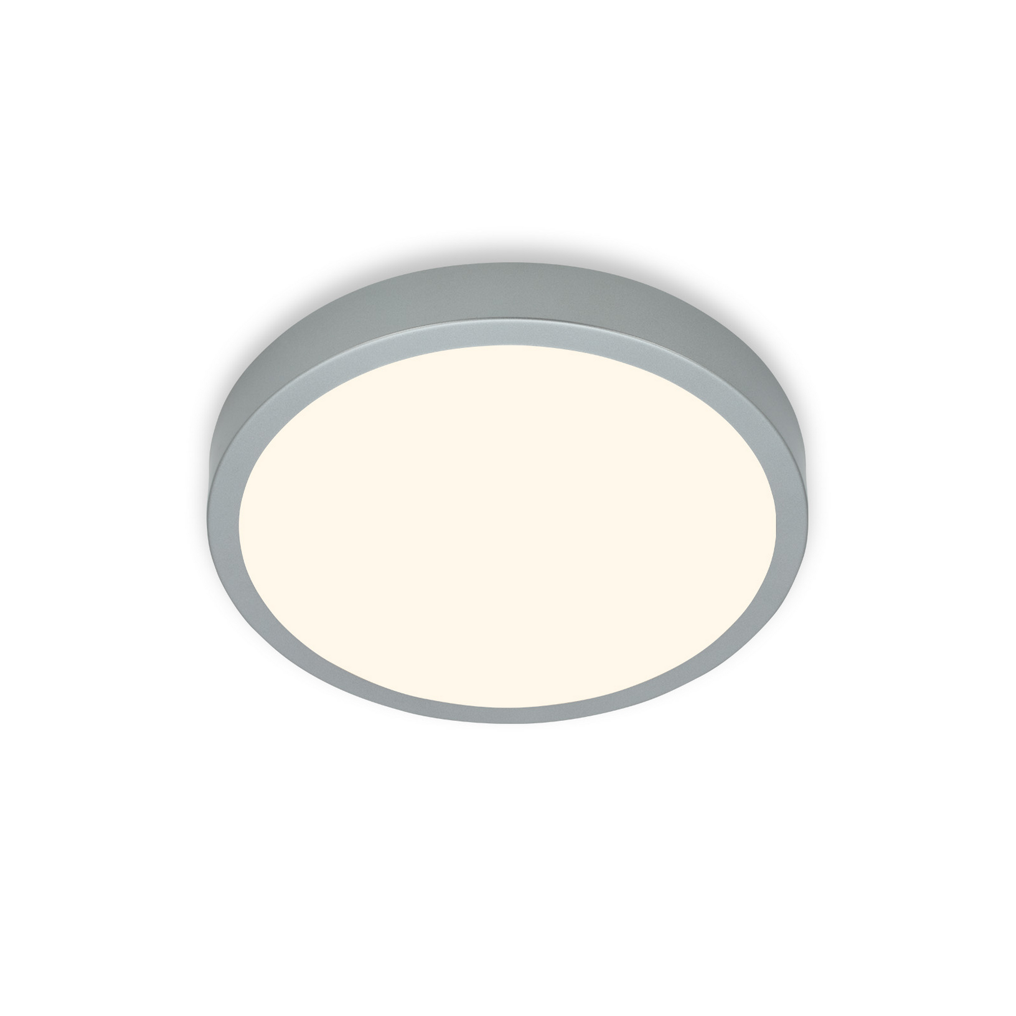 LED-Wand- und Deckenleuchte 'Runa' silberfarben Ø 28 x 4 cm