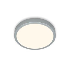 LED-Wand- und Deckenleuchte 'Runa' silberfarben Ø 28 x 4 cm