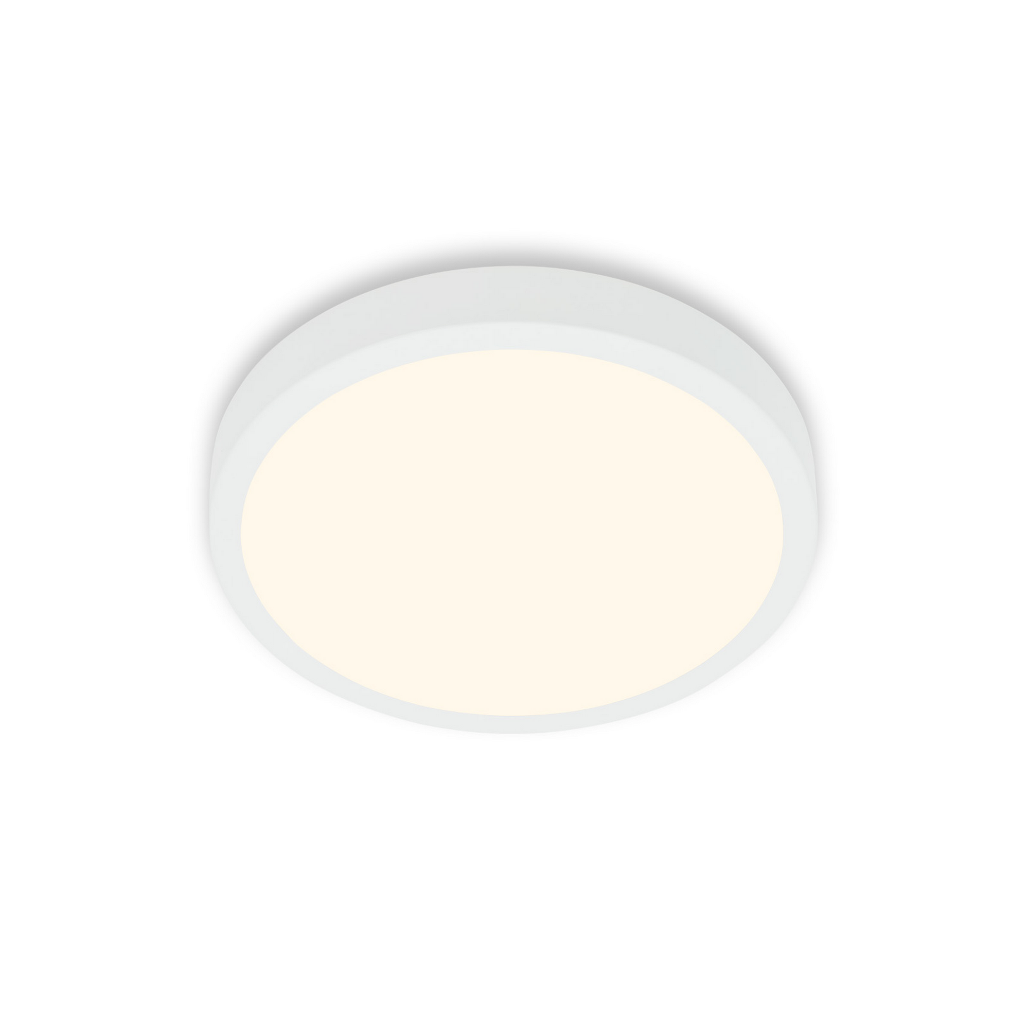 LED-Wand- und Deckenleuchte 'Runa' weiß Ø 28 x 4 cm