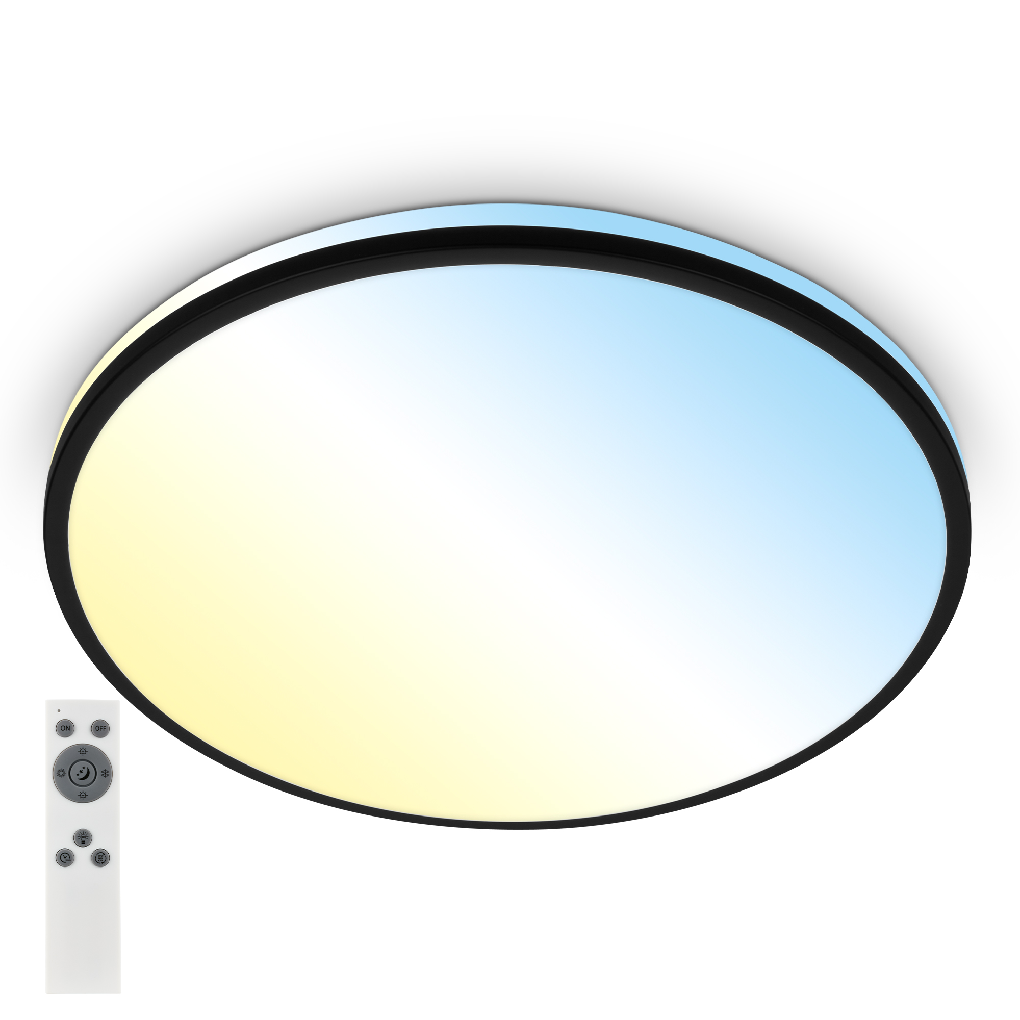 LED-Wand- und Deckenleuchte 'Lana' schwarz Ø 49 x 9,5 cm