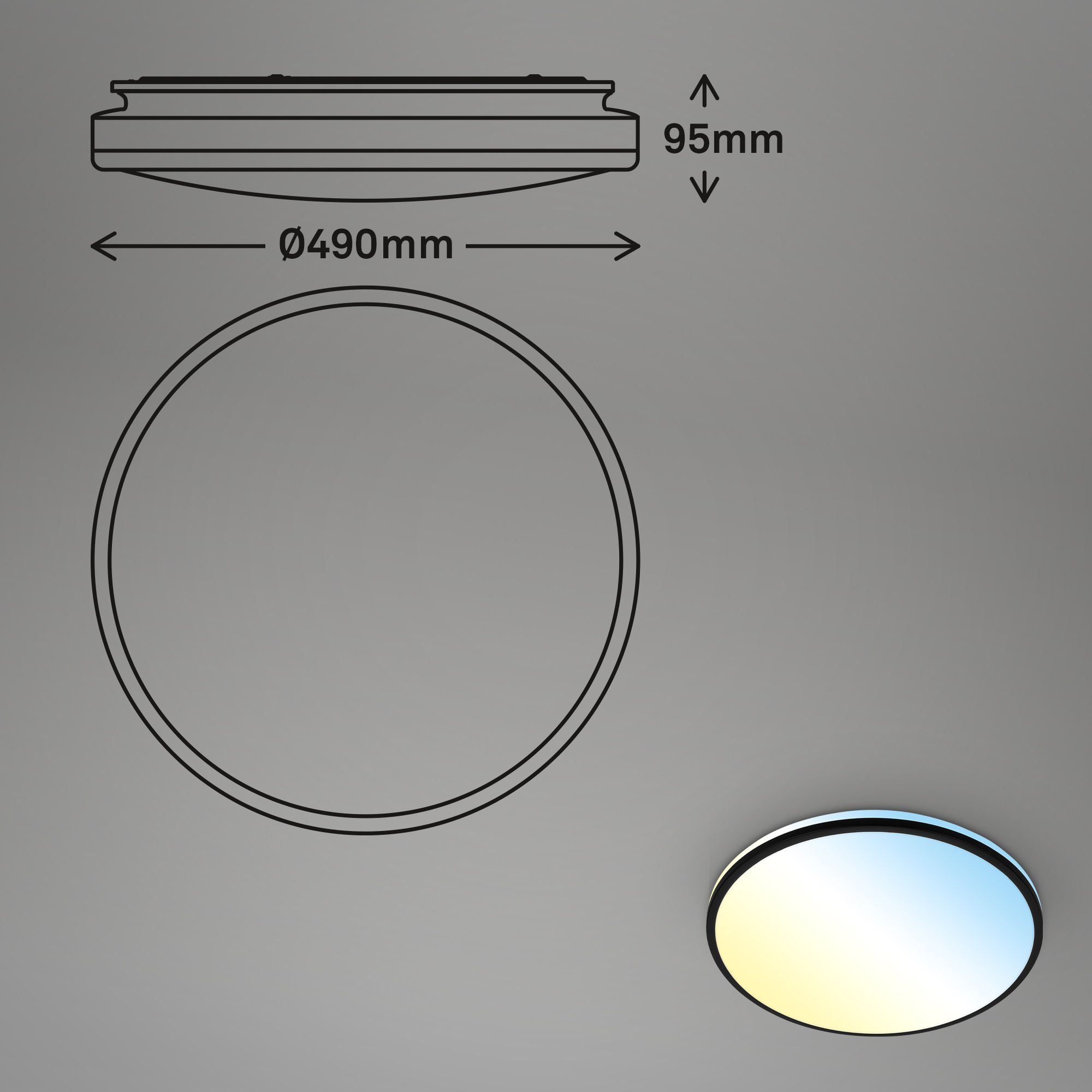 LED-Wand- und Deckenleuchte 'Lana' schwarz Ø 49 x 9,5 cm