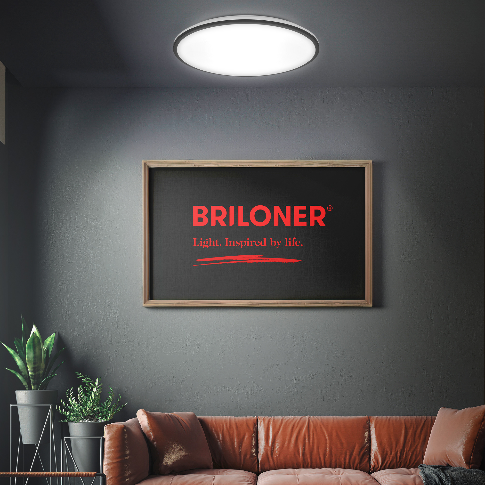 LED-Wand- und Deckenleuchte 'Lana' schwarz Ø 49 x 9,5 cm