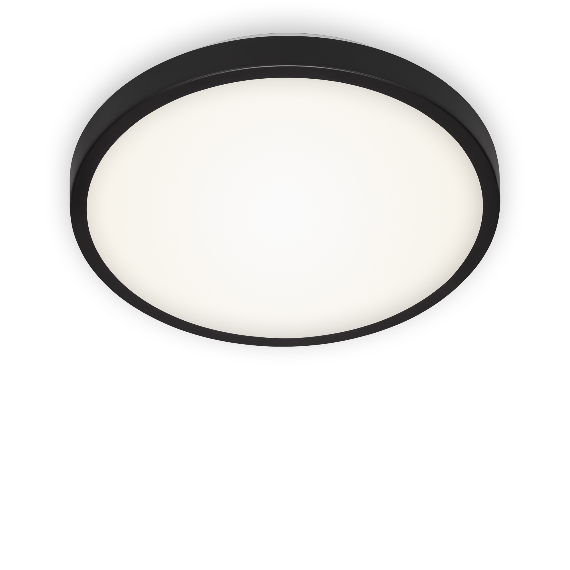 LED-Wand- und Deckenleuchte 'Manny' schwarz Ø 29 x 7 cm