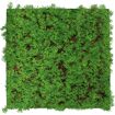 hauptbild