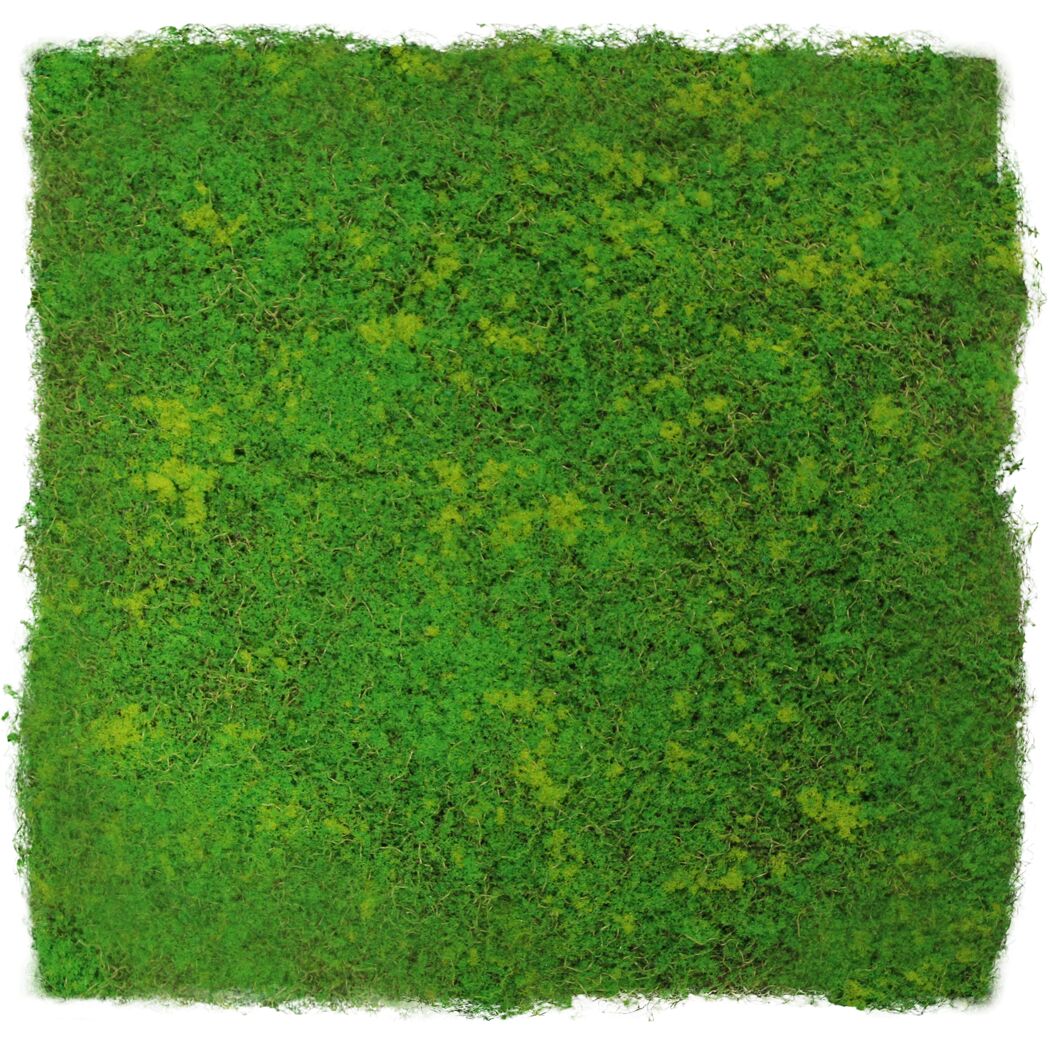 Hellgrüne Mooswand