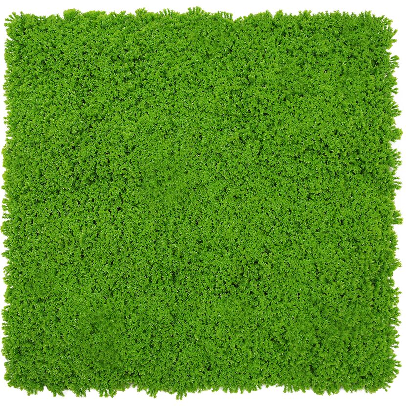 Grüne Mooswand