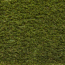 Kunstrasen 'Bermuda' grün 200 cm Meterware