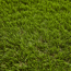 Kunstrasen 'Teneriffa' grün 200 cm Meterware