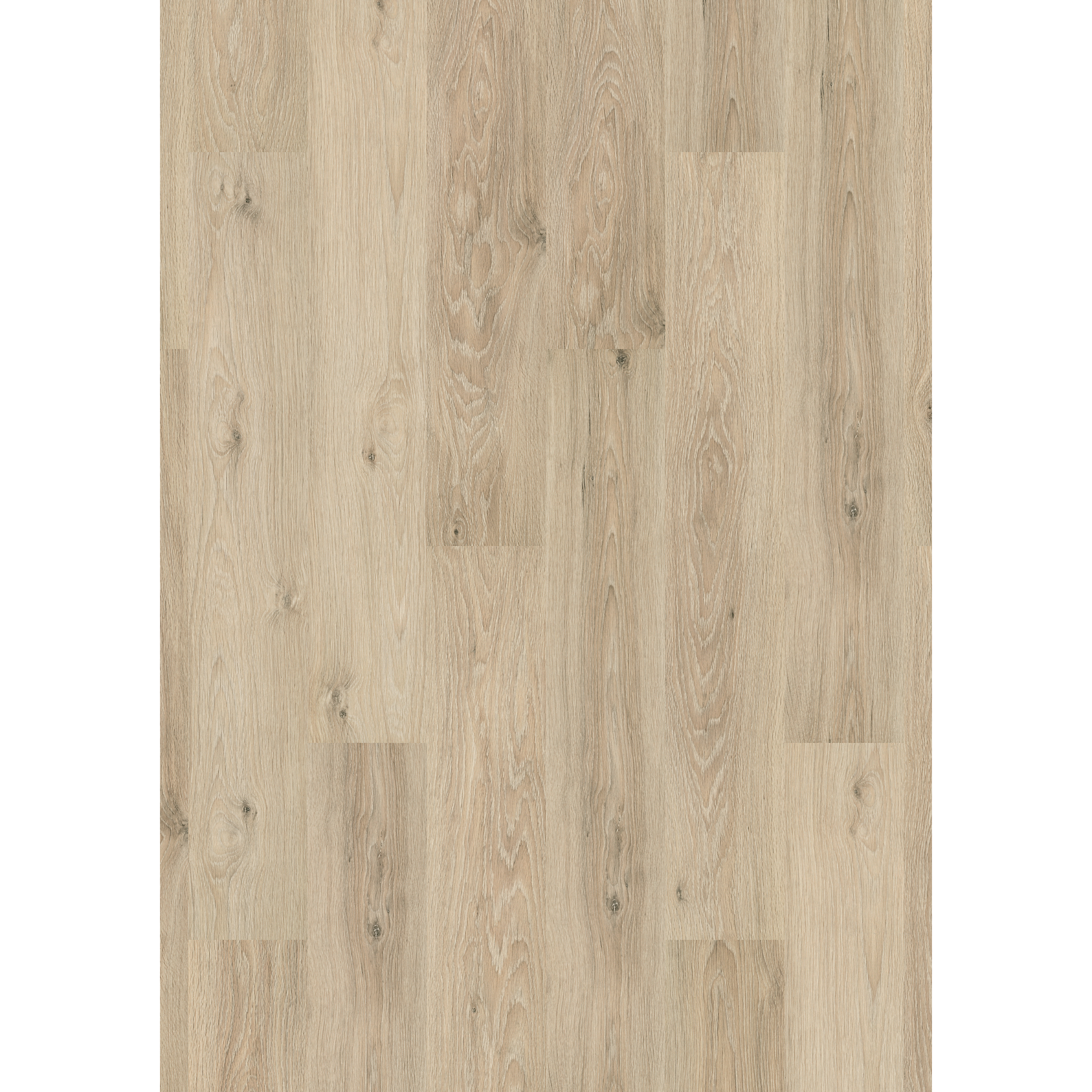 Laminat 'Premium Toast Pistachio Oak' eichefarben 7 mm