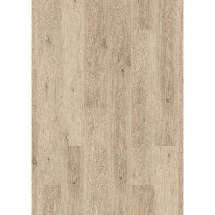 Laminat 'Premium Toast Pistachio Oak' eichefarben 7 mm