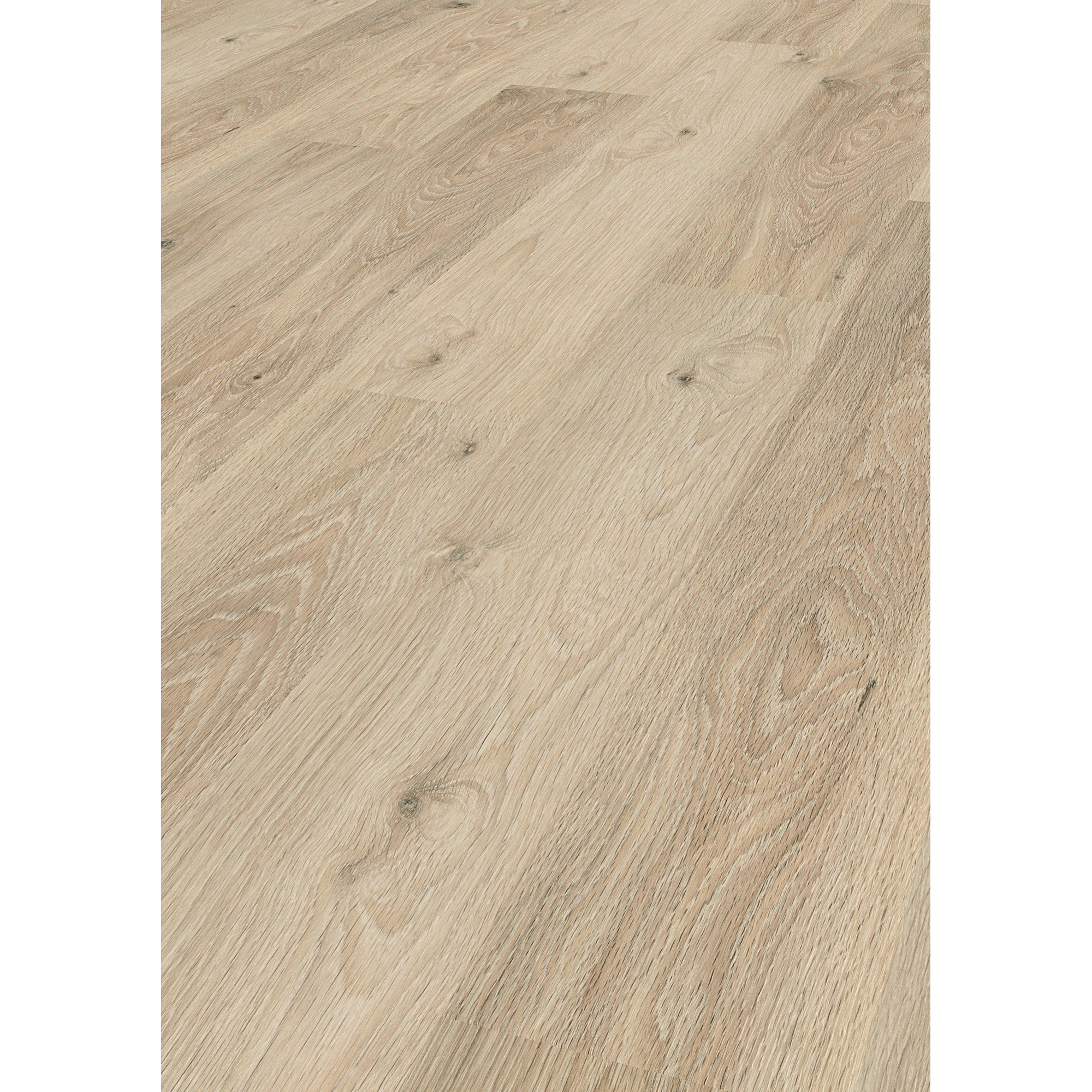 Laminat 'Premium Toast Pistachio Oak' eichefarben 7 mm