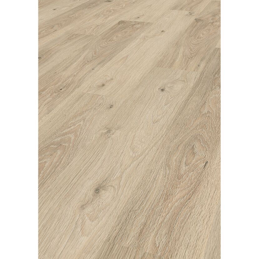 Laminat 'Premium Toast Pistachio Oak' eichefarben 7 mm