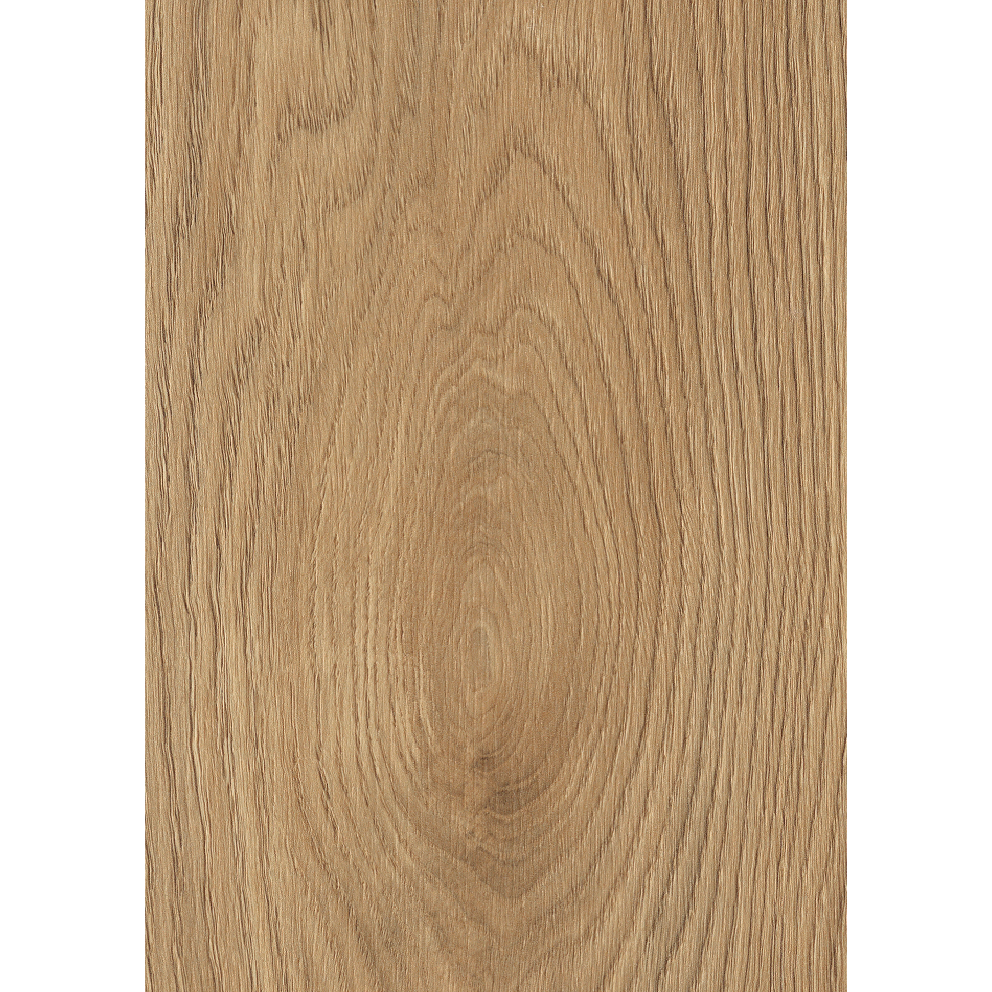 Laminat 'Premium Wheat Cornforth Oak' eichefarben 7 mm