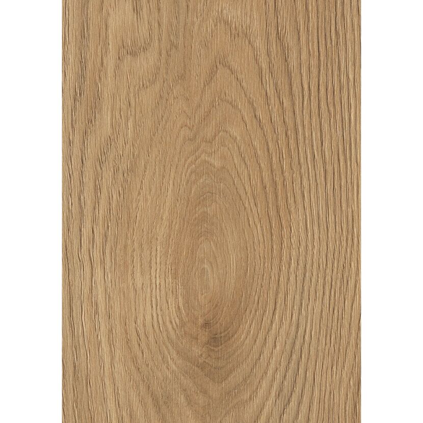 Laminat 'Premium Wheat Cornforth Oak' eichefarben 7 mm