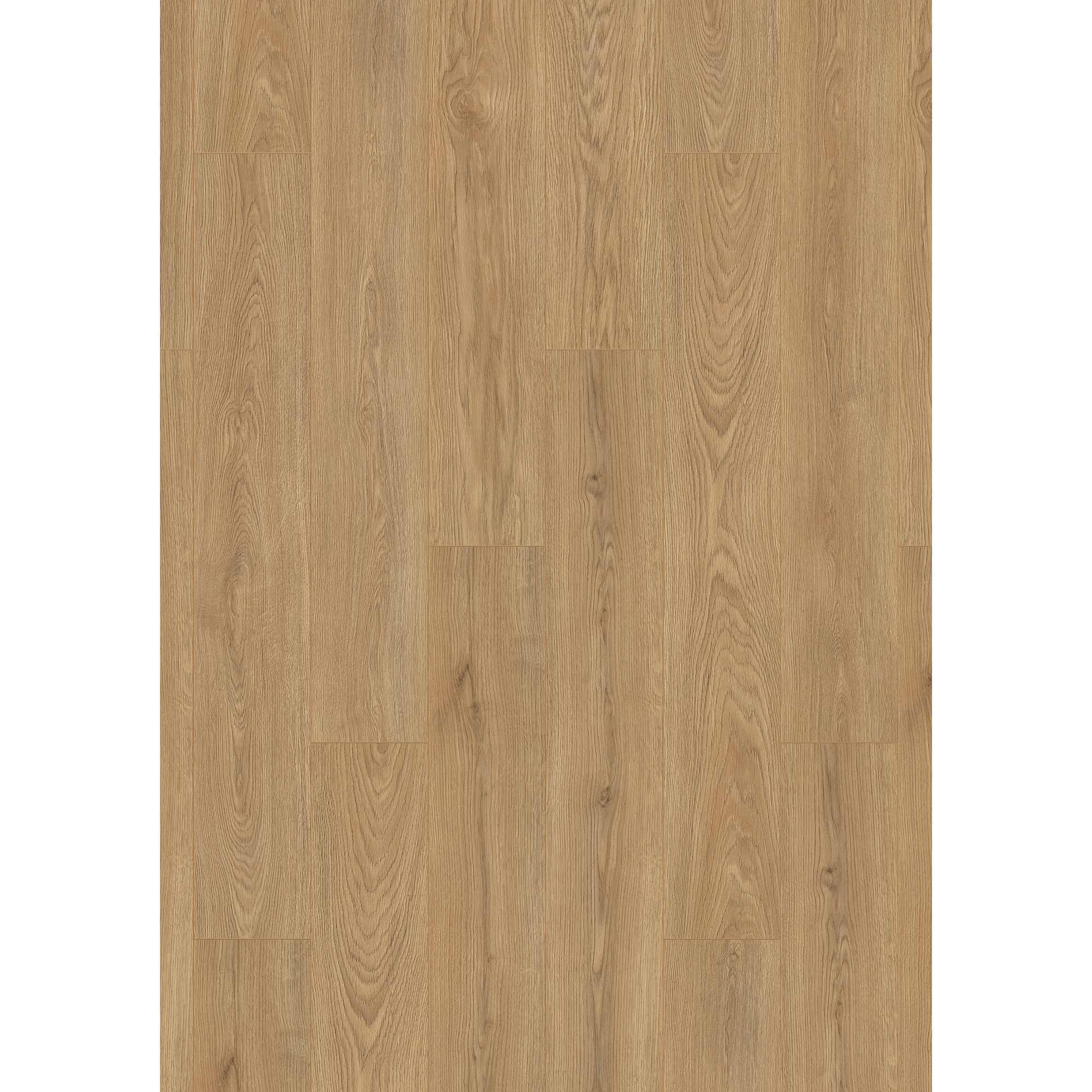 Laminat 'Premium Wheat Cornforth Oak' eichefarben 7 mm