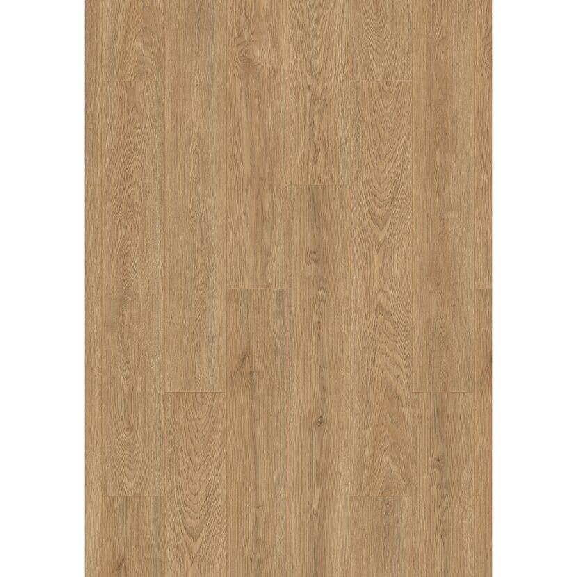 Laminat 'Premium Wheat Cornforth Oak' eichefarben 7 mm