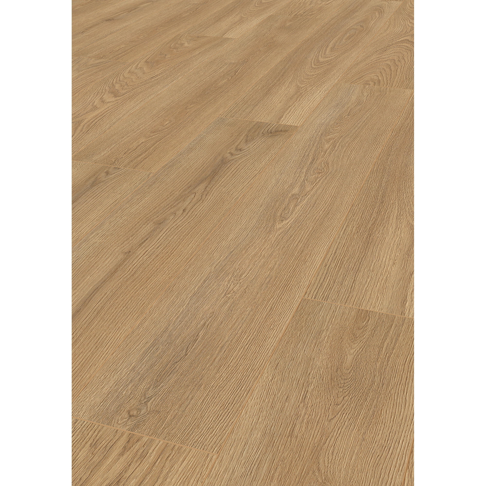 Laminat 'Premium Wheat Cornforth Oak' eichefarben 7 mm