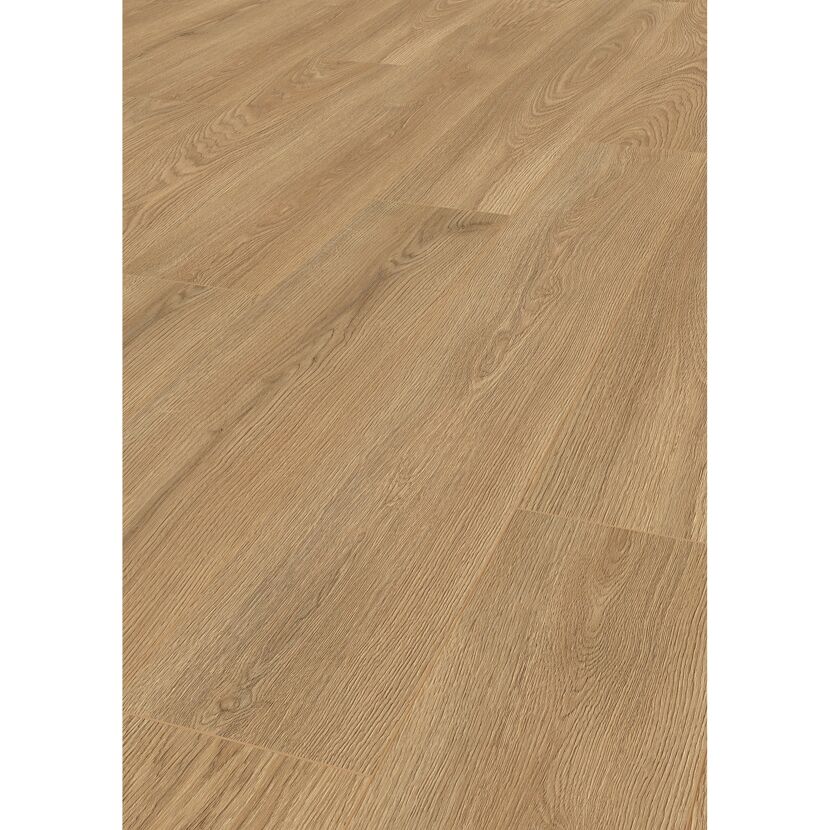 Laminat 'Premium Wheat Cornforth Oak' eichefarben 7 mm