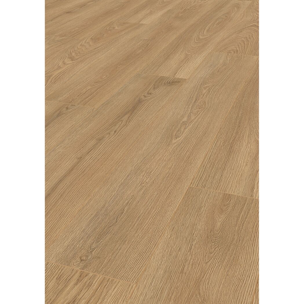 Laminat 'Premium Wheat Cornforth Oak' eichefarben 7 mm