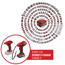 Maschinen-Set (Garten) CE-AP 18+CE-CC 18+2,0 Ah Kit mit Akku