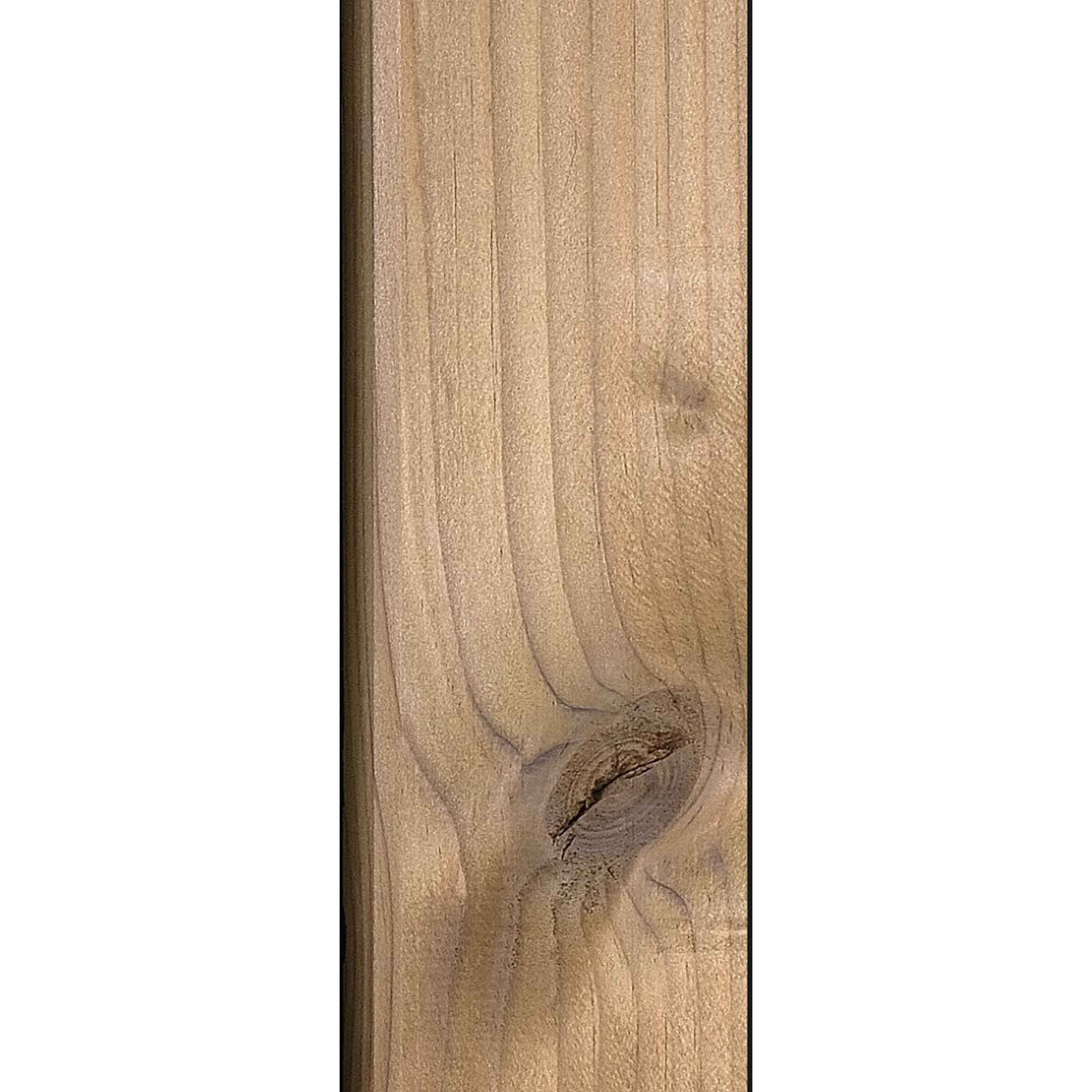 Outdoor-Akustikpaneel 'HydroLine' Thermo-Fichte gehobelte Oberfläche 2400 x 561 x 19 mm