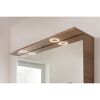 Spiegelschrank 'Vita' Eichefarben Braun 100,2 x 69,6 x 26,5 cm