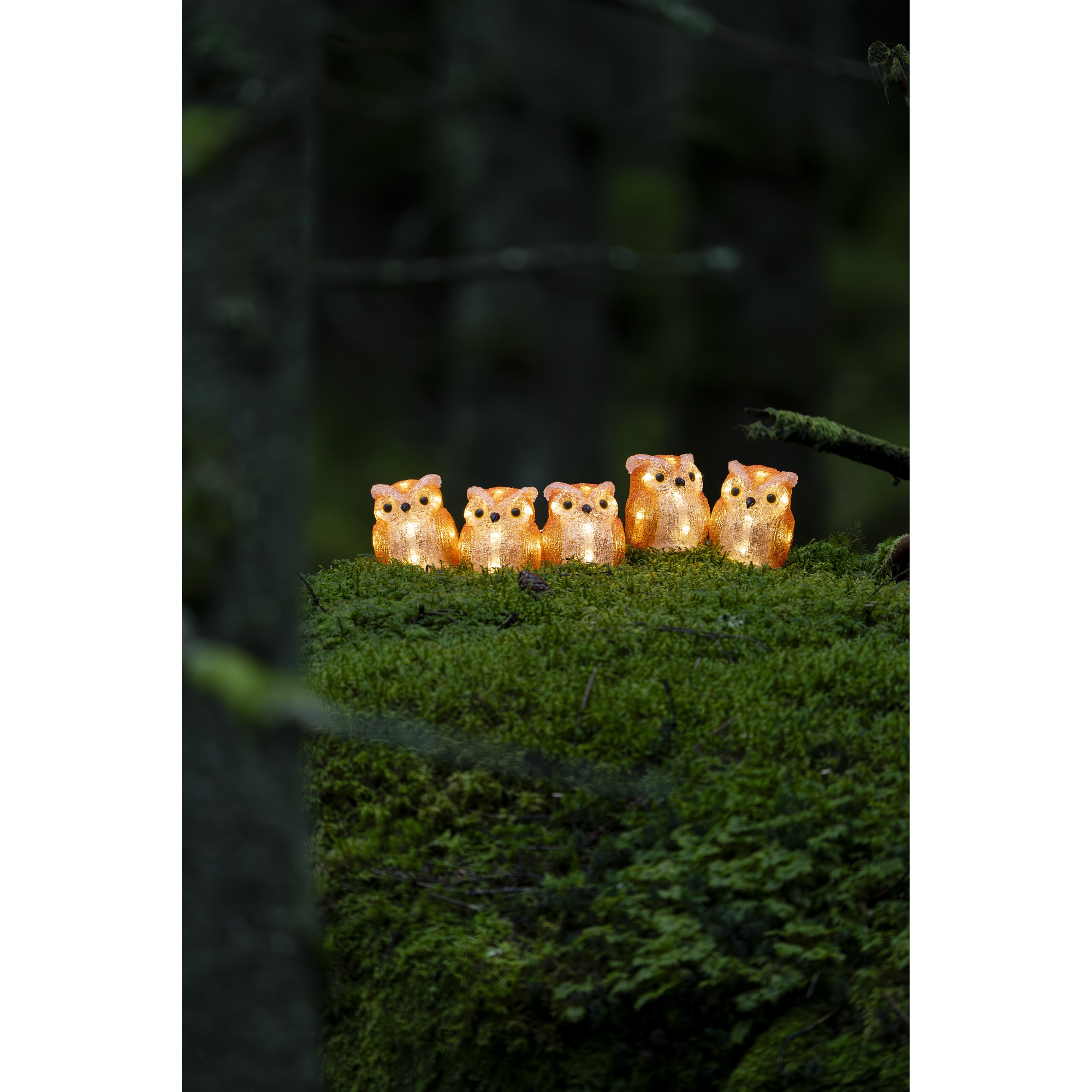 LED-Dekofigur 'Eule' 40 LED warmweiß 7,5 x 10 x 7,5 cm 5 Stück